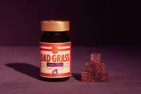 Dad Grass Nighttime Formula CBD + CBN Gummies